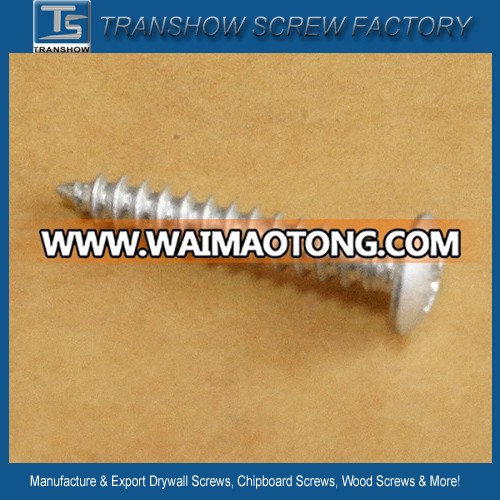 Truss Head Self Tapping Screw